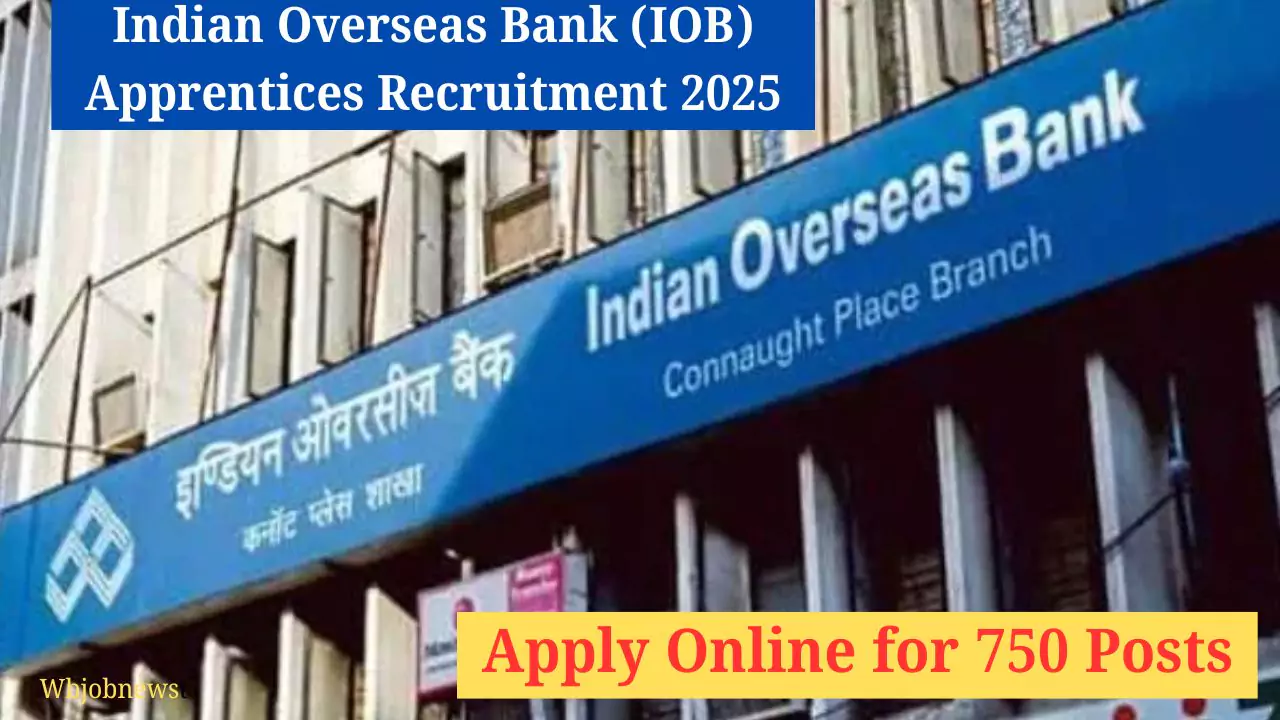 Indian Overseas Bank (IOB) Apprentices Recruitment 2025 :