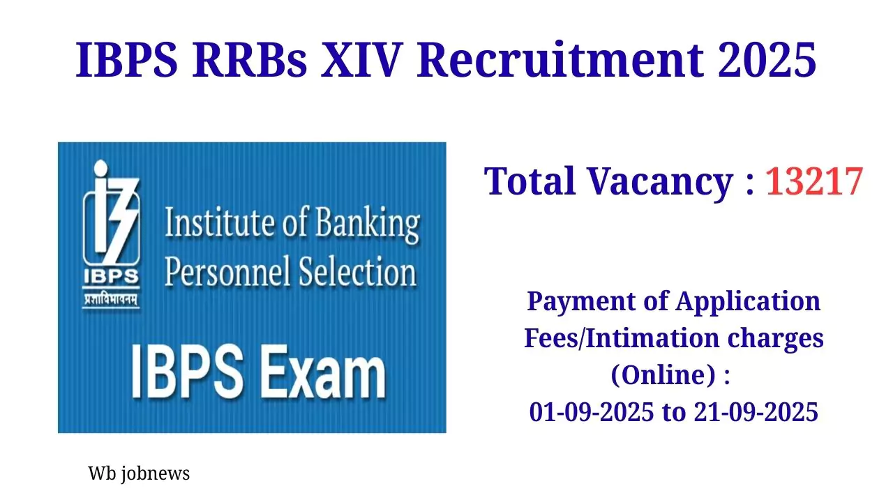 IBPS RRBs XIV Recruitment 2025: